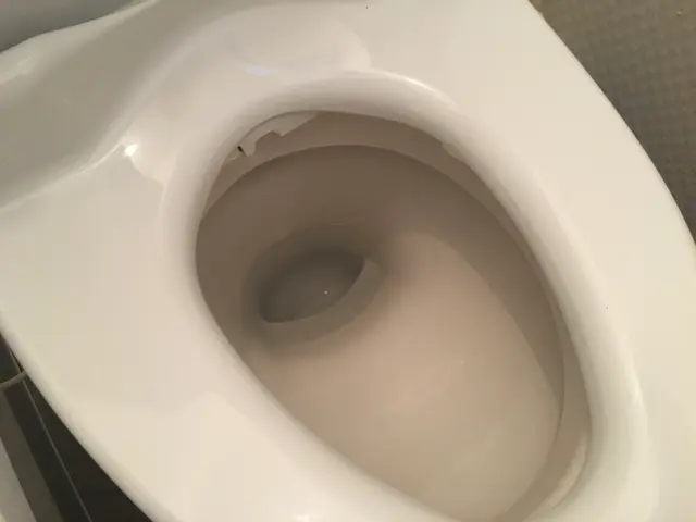 便座と温水洗浄便座の清掃