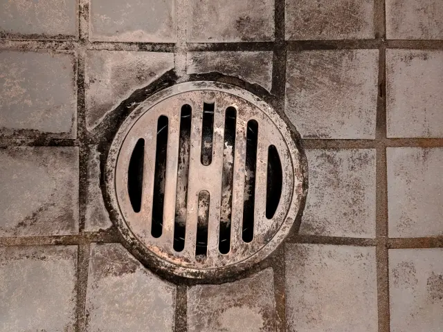 浴室排水口のぬめりクリーニング