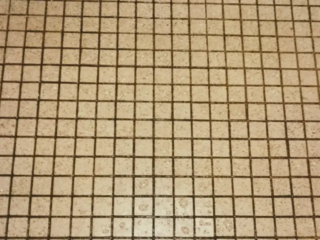 トイレの床や壁に付着した飛び散り汚れ