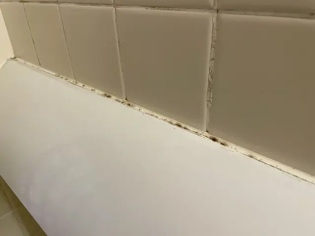 浴室の床と壁の黒カビ洗浄